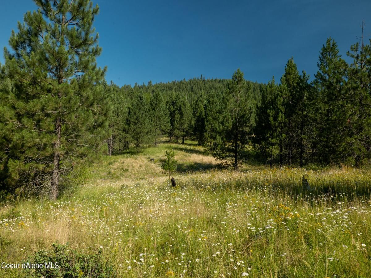 Sold 21.25 Acres in St. Maries!