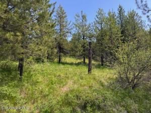 Sold 5.00 Acres in Fernwood!
