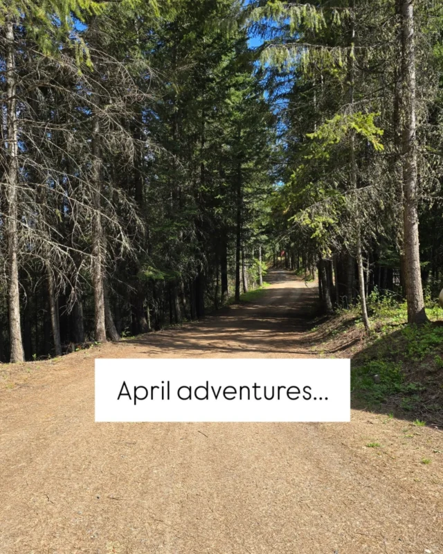 April, thanks for being amazing! 👋🏻✌🏻

To all of my amazing clients, friends, and new friends... thank you! 🫶🏻